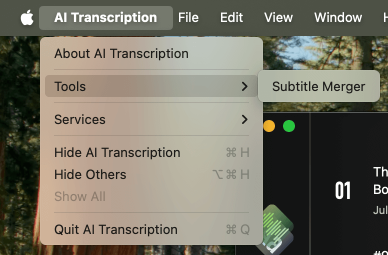 A screenshot showing how to launch subtitle merger